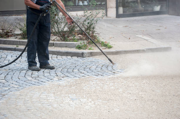 Best Fence Cleaning  in Fredericksburg, TX